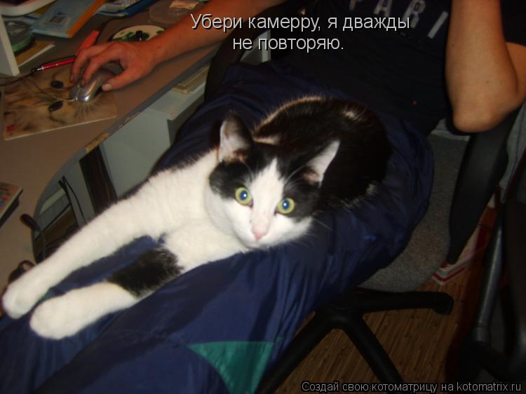Убери камерру, я дважды не повторяю.... Котоматрица: Убери камерру, я дважды не повторяю.