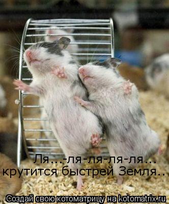 Котоматрица: Ля...-ля-ля-ля-ля... крутится быстрей Земля..