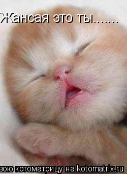 Котоматрица: Жансая это ты.......