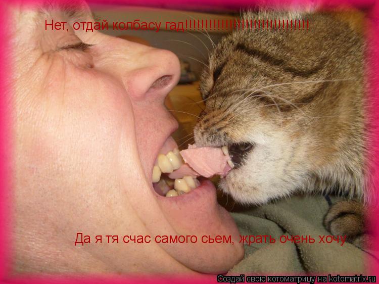 Котоматрица: Нет, отдай колбасу гад!!!!!!!!!!!!!!!!!!!!!!!!!!!!!!! Да я тя счас самого сьем, жрать очень хочу