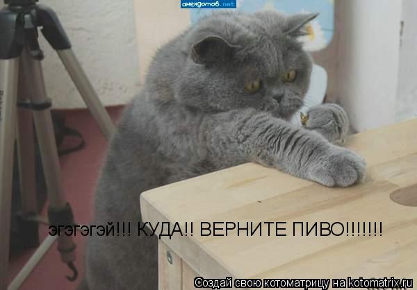 Котоматрица: эгэгэгэй!!! КУДА!! ВЕРНИТЕ ПИВО!!!!!!!