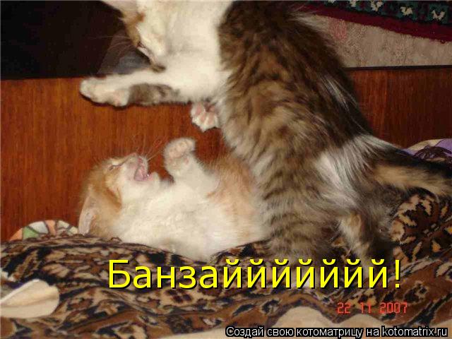 Котоматрица: Банзаййййййй!