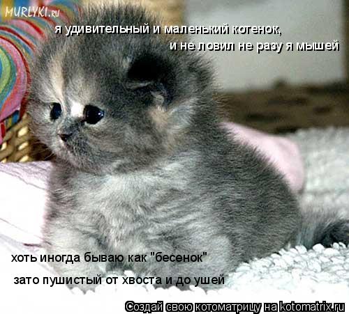 Котоматрица: я удивительный и маленький котенок,  и не ловил не разу я мышей хоть иногда бываю как "бесенок"  зато пушистый от хвоста и до ушей