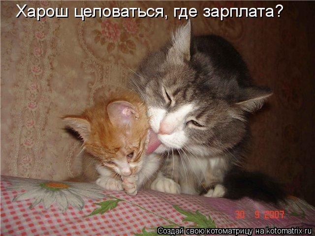 Харош целоваться, где зарплата?... Котоматрица: Харош целоваться, где зарплата?