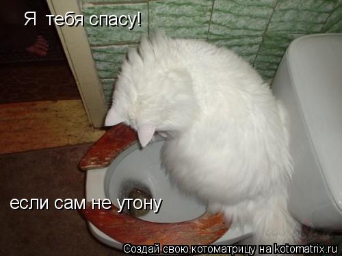 Я тебя спасу! если сам не утону... Котоматрица: Я тебя спасу! если сам не утону