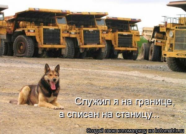 Котоматрица: Служил я на границе, а списан на станицу...