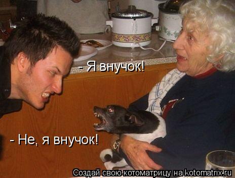 Котоматрица: - Я внучок! - Не, я внучок!