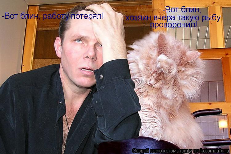Котоматрица: -Вот блин, работу потерял! -Вот блин,  хозяин вчера такую рыбу  проворонил!