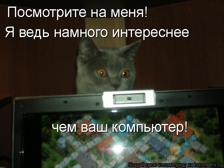 Котоматрица: Посмотрите на меня! Я ведь намного интереснее чем ваш компьютер!