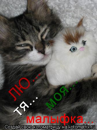 Котоматрица: ЛЮ... тя... моя... малыфка...