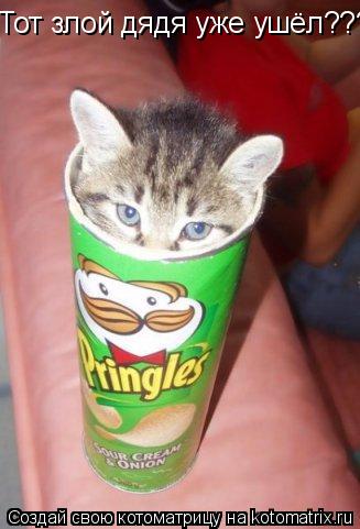 Котоматрица: Тот злой дядя уже ушёл??????7