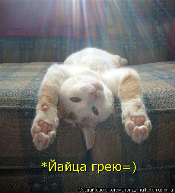 *Йайца грею=)... Котоматрица: *Йайца грею=)