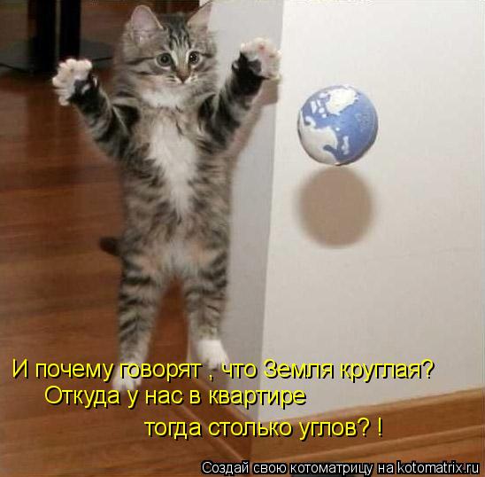 Котоматрица: И почему говорят , что Земля круглая? Откуда у нас в квартире тогда столько углов? !