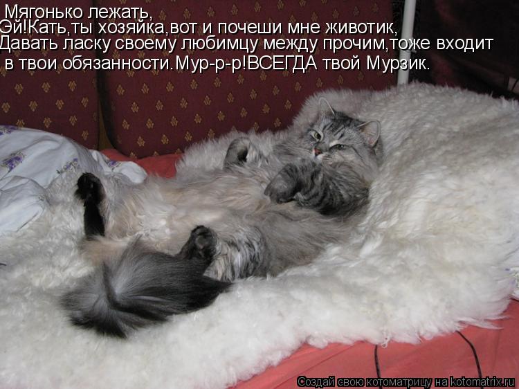 Мягонько лежать, Эй!Кать,ты хозяйка,вот и почеши мне животик, Давать ласку своему любимцу между прочи... Котоматрица: Мягонько лежать, Эй!Кать,ты хозяйка,вот и почеши мне животик, Давать ласку своему любимцу между прочим,тоже входит в твои обязанности.Мур-р-