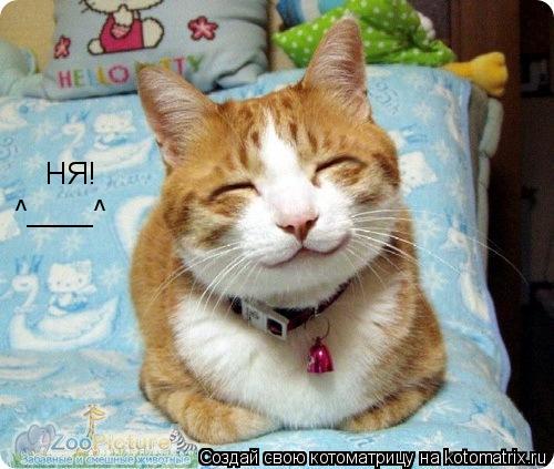 НЯ! ^____^... Котоматрица: НЯ! ^____^
