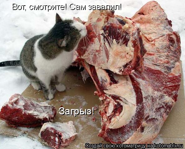Котоматрица: Вот, смотрите! Сам завалил! Загрыз!