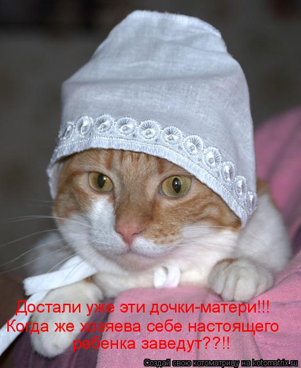 Достали уже эти дочки-матери!!! Когда же хозяева себе настоящего ребенка заведут??!!... Котоматрица: Достали уже эти дочки-матери!!! Когда же хозяева себе настоящего ребенка заведут??!!