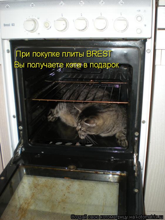 Котоматрица: При покупке плиты BREST Вы получаете кота в подарок