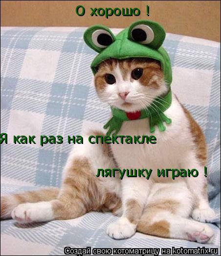 О хорошо ! Я как раз на спектакле лягушку играю !... Котоматрица: О хорошо ! Я как раз на спектакле лягушку играю !