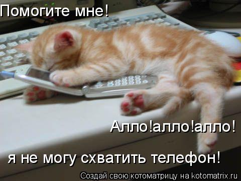 Помогите мне! я не могу схватить телефон! Алло!алло!алло!... Котоматрица: Помогите мне! я не могу схватить телефон! Алло!алло!алло!
