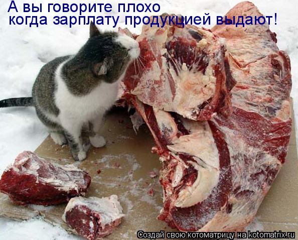 А вы говорите плохо когда зарплату продукцией выдают!... Котоматрица: А вы говорите плохо когда зарплату продукцией выдают!
