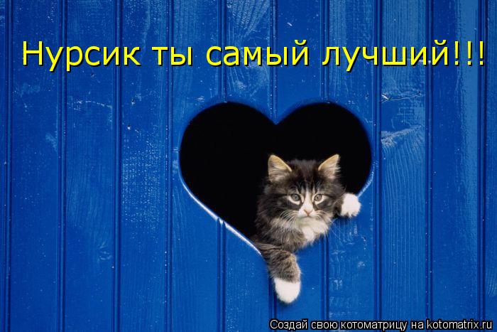 Нурсик ты самый лучший!!!... Котоматрица: Нурсик ты самый лучший!!!