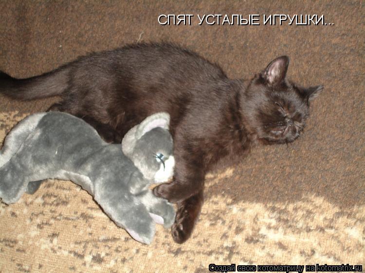 Котоматрица: СПЯТ УСТАЛЫЕ ИГРУШКИ...