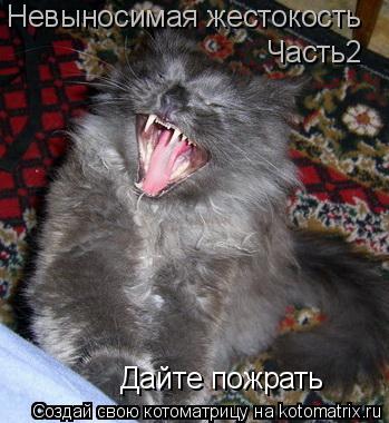 Котоматрица: Невыносимая жестокость Часть2 Дайте пожрать