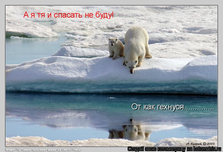 От как гехнуся.............. А я тя и спасать не буду!... Котоматрица: От как гехнуся.............. А я тя и спасать не буду!