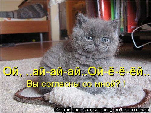 Котоматрица: Ой, ..ай-ай-ай..Ой-ё-ё-ёй... Вы согласны со мной? !