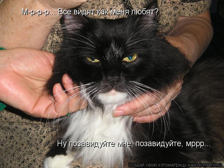 Котоматрица: М-р-р-р... Все видят как меня любят?  Ну позавидуйте мне, позавидуйте, мррр...
