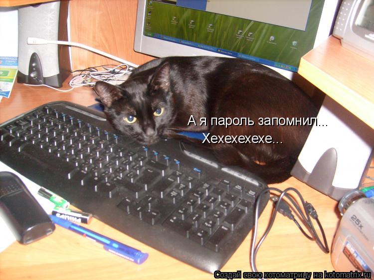 Котоматрица: А я пароль запомнил... Хехехехехе...