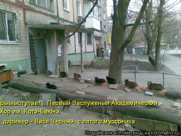 Котоматрица: Выыыступает... Первый Заслуженый Академический Хор им. Кота-Баюна дирижер - Вася Черный, с пятого мусорника