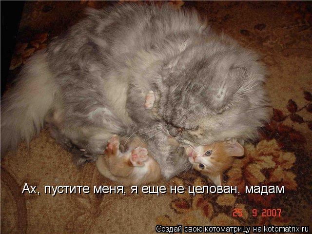 Ах, пустите меня, я еще не целован, мадам... Котоматрица: Ах, пустите меня, я еще не целован, мадам