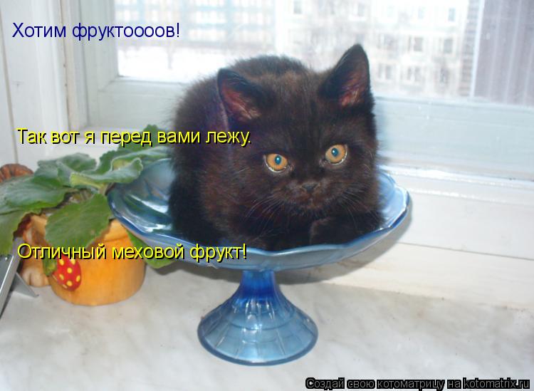 Котоматрица: Хотим фруктоооов! Так вот я перед вами лежу. Отличный меховой фрукт!