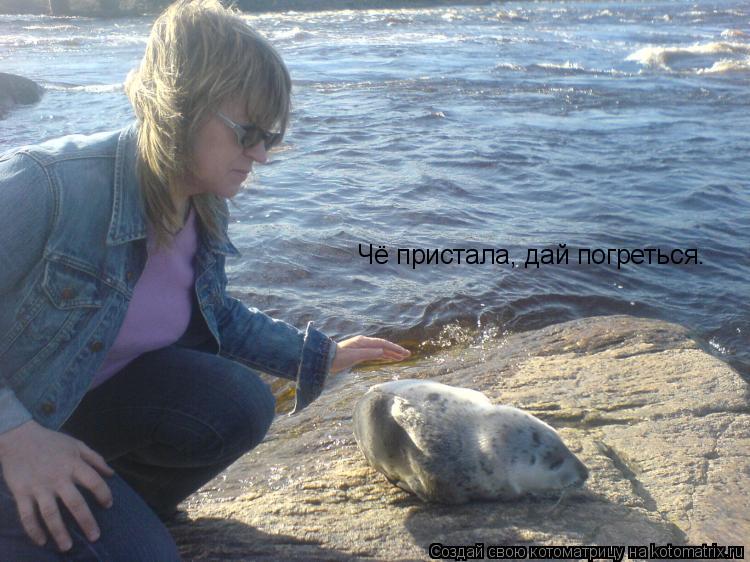 Чё пристала, дай погреться.... Котоматрица: Чё пристала, дай погреться.