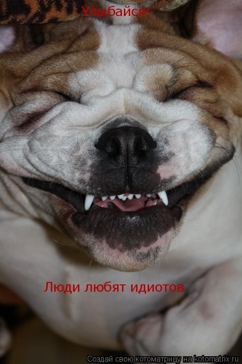 Котоматрица: Улыбайся! Люди любят идиотов