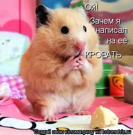 Котоматрица: Ой! Зачем я  написал на её КРОВАТЬ