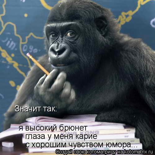 Котоматрица: Значит так:  я высокий брюнет глаза у меня карие с хорошим чувством юмора...