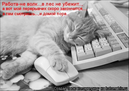Котоматрица: Работа-не волк..,в лес не убежит.., а вот мой перерывчик скоро закончится.... а там смотришь...,и домой пора..