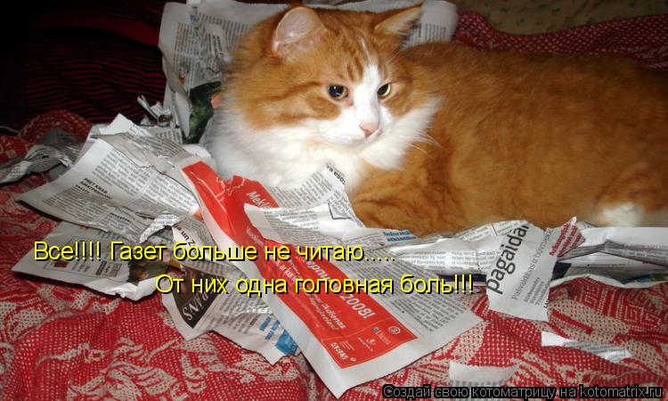 Котоматрица: Все!!!! Газет больше не читаю..... От них одна головная боль!!!