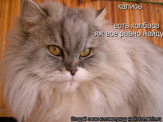 Котоматрица: кались есть колбаса яж все равно найду