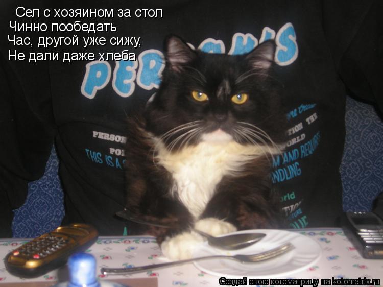 Сел с хозяином за стол Чинно пообедать Час, другой уже сижу, Не дали даже хлеба... Котоматрица: Сел с хозяином за стол Чинно пообедать Час, другой уже сижу, Не дали даже хлеба