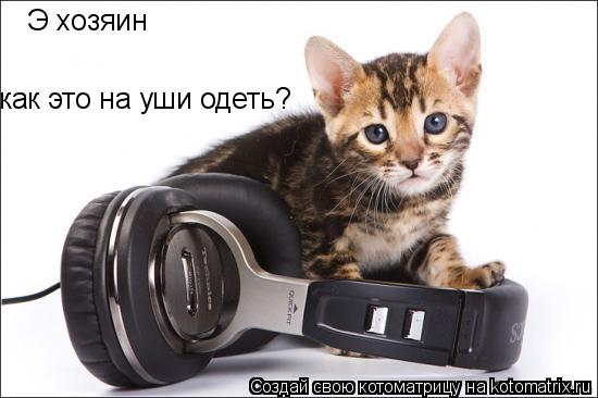 Э хозяин как это на уши одеть?... Котоматрица: Э хозяин как это на уши одеть?