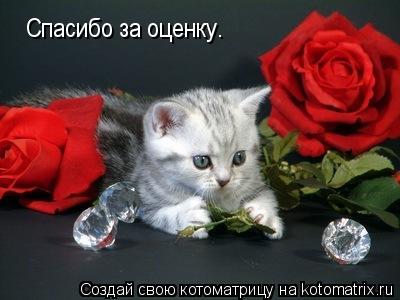 Котоматрица: Спасибо за оценку.