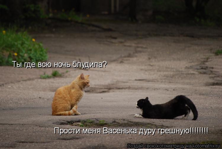 Прости меня Васенька дуру грешную!!!!!!!! Ты где всю ночь блудила?... Котоматрица: Прости меня Васенька дуру грешную!!!!!!!! Ты где всю ночь блудила?