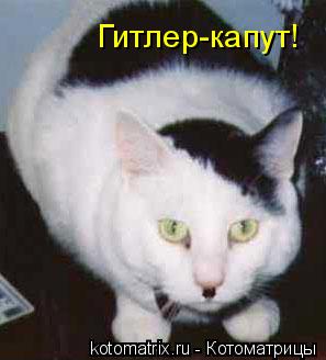 Котоматрица: Гитлер-капут!