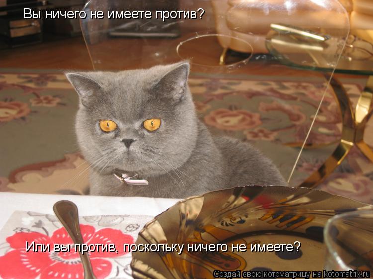 Котоматрица: Вы ничего не имеете против?  Или вы против, поскольку ничего не имеете?