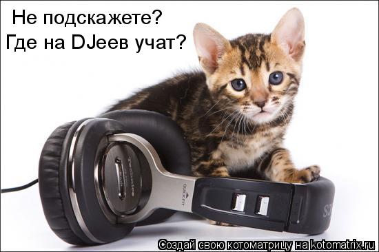 Котоматрица: Не подскажете? Где на DJеев учат?