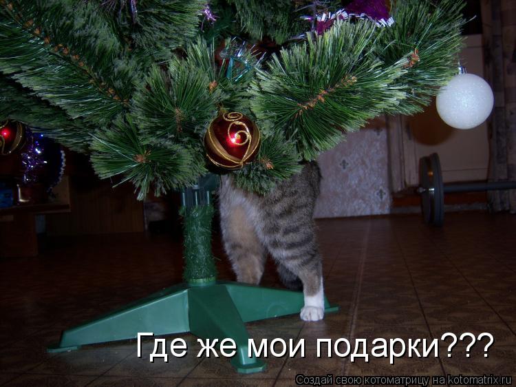 Где же мои подарки???... Котоматрица: Где же мои подарки???